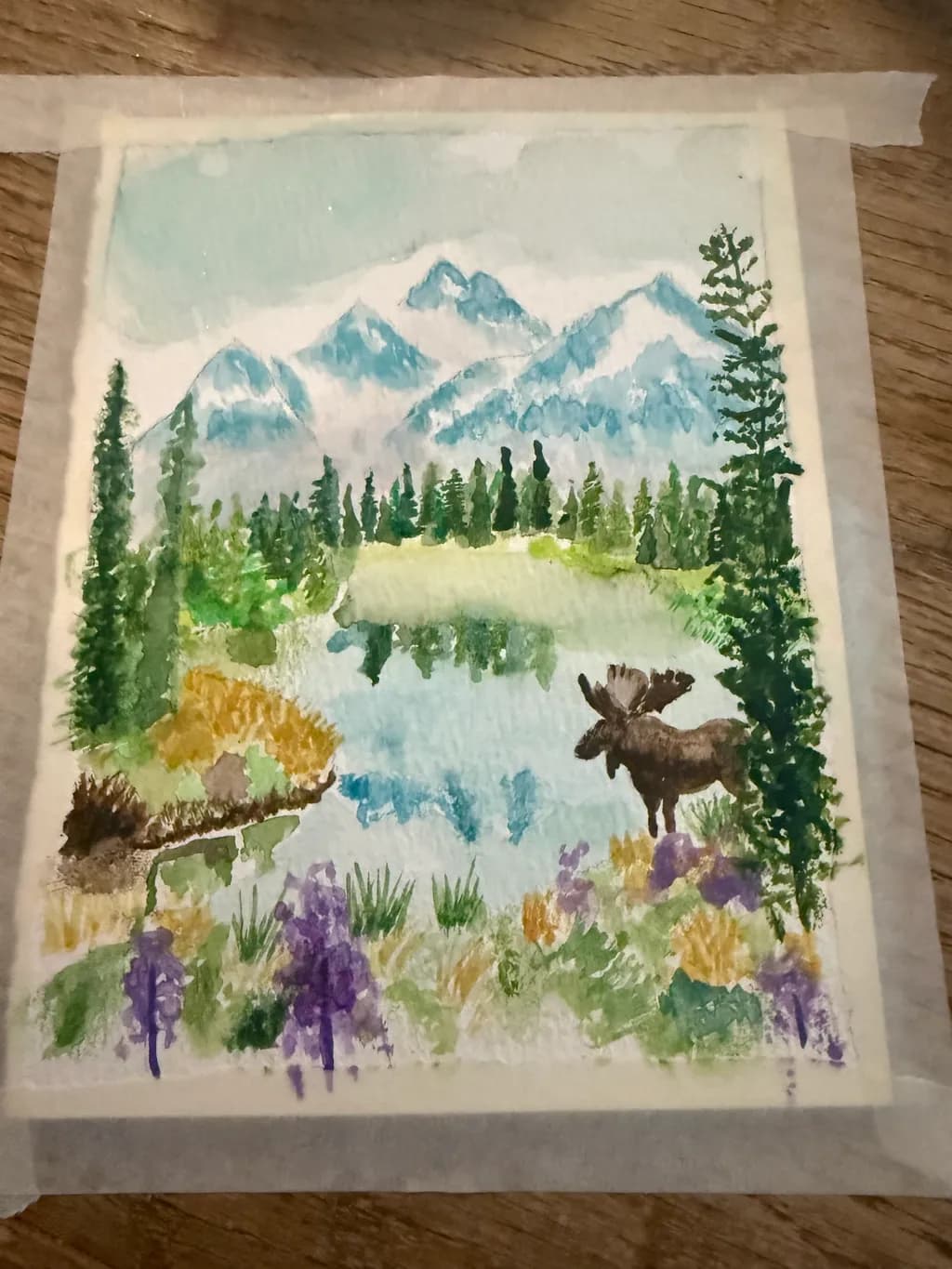 Mountain Lake Moose