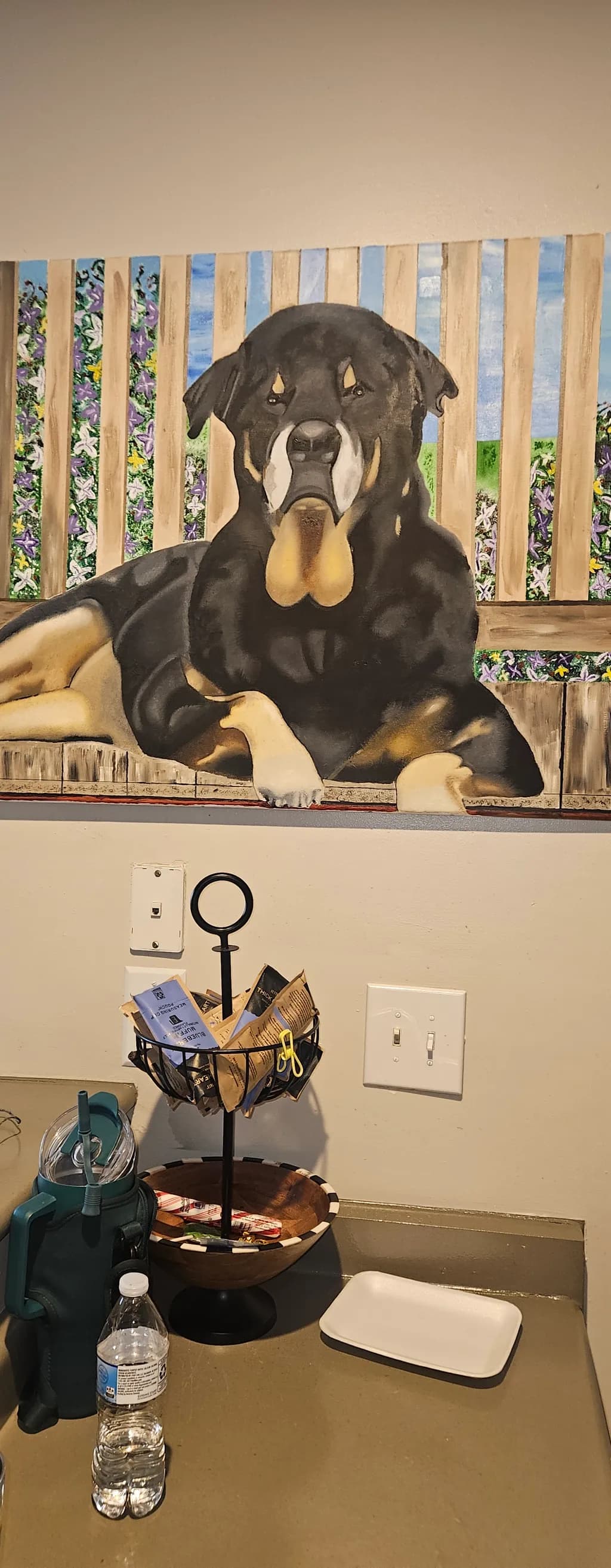 Rottweiler on Porch