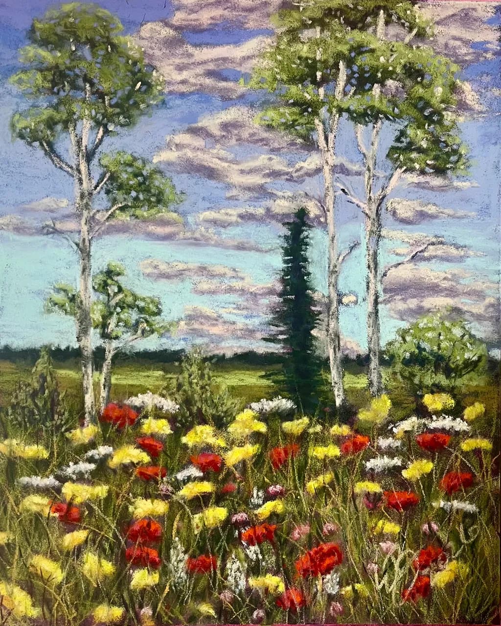 Summer Meadow 