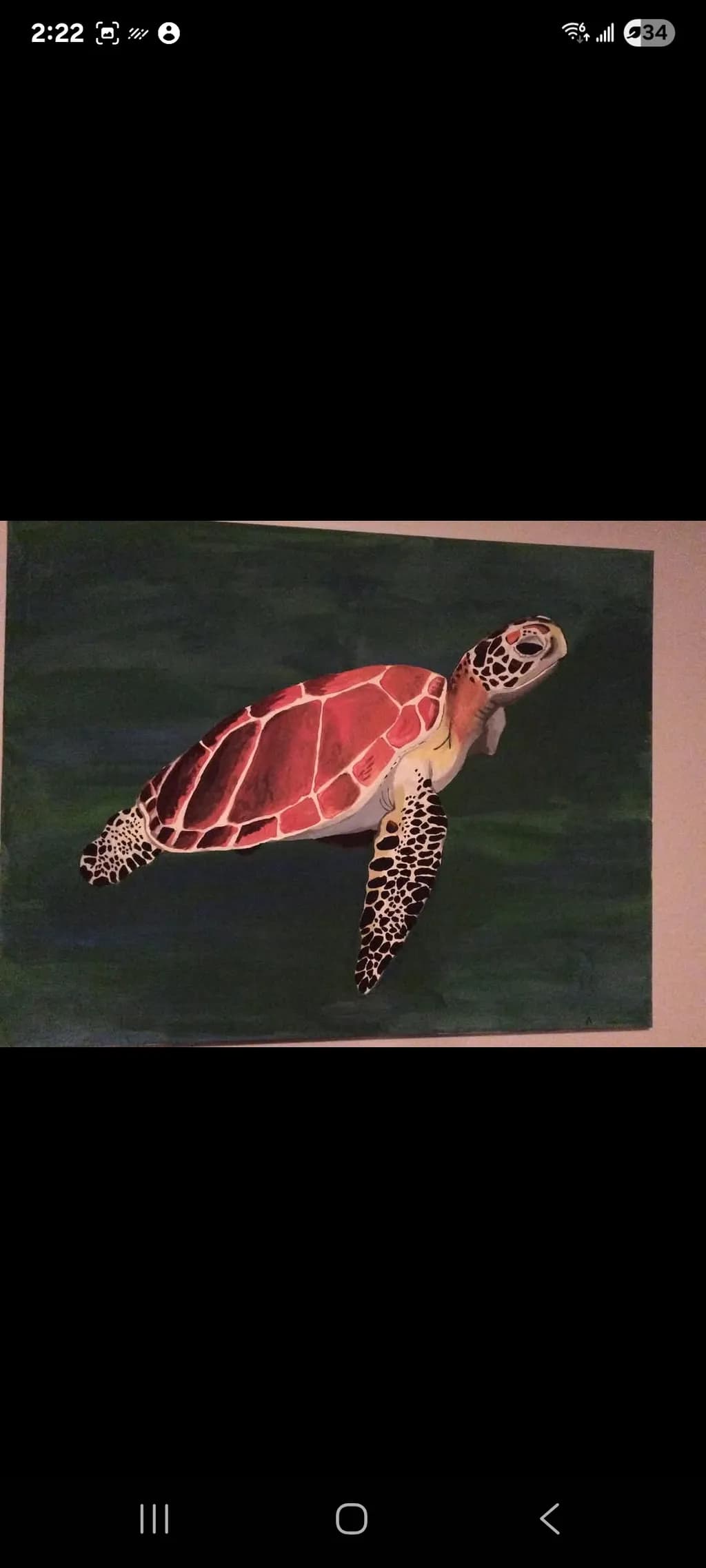 Sea Turtle Portrait
