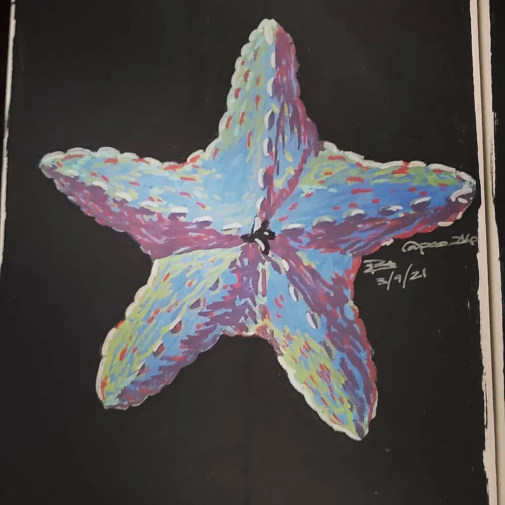 Colorful Starfish Illustration