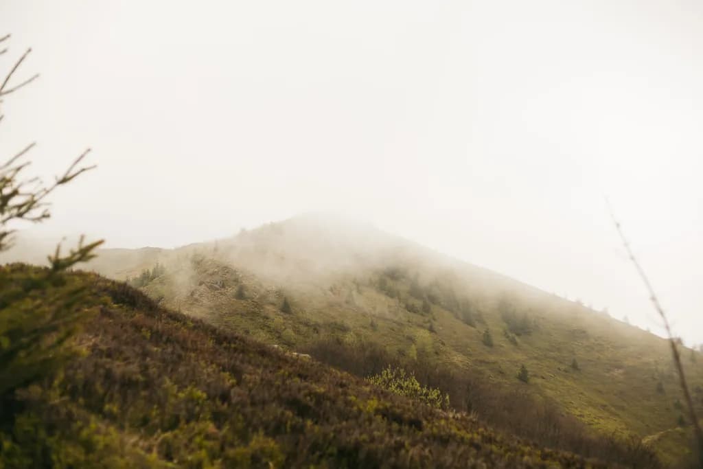 Misty Mountain Slope