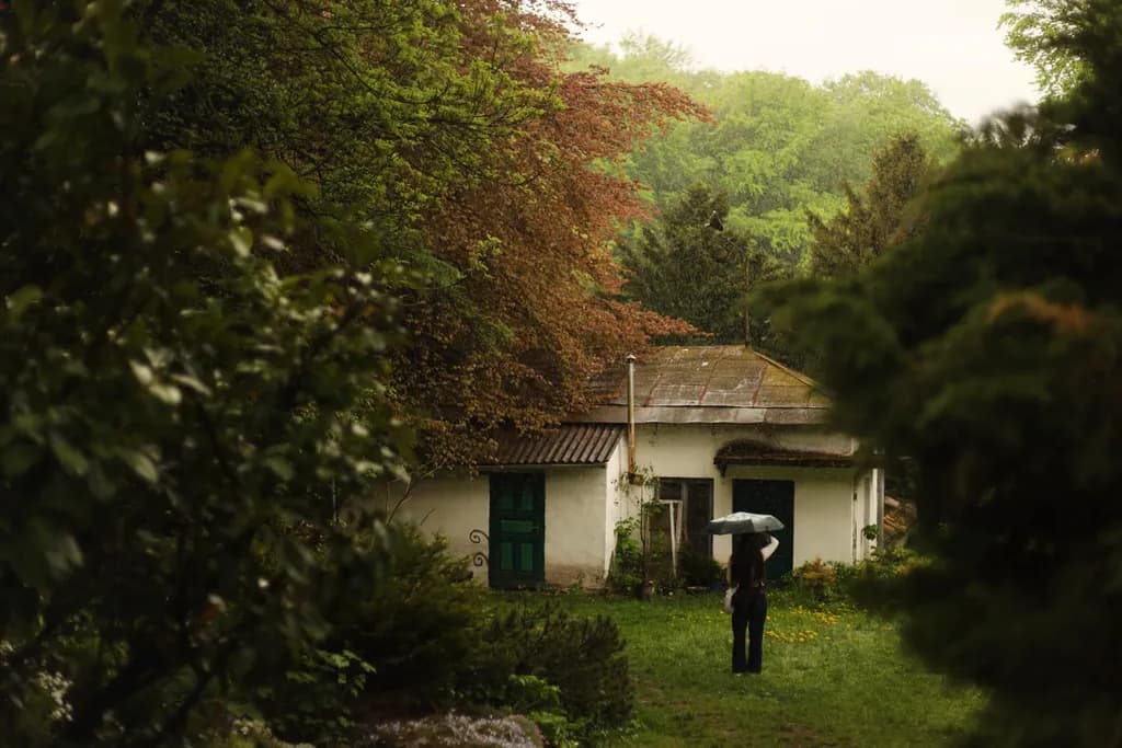 House in the Woods