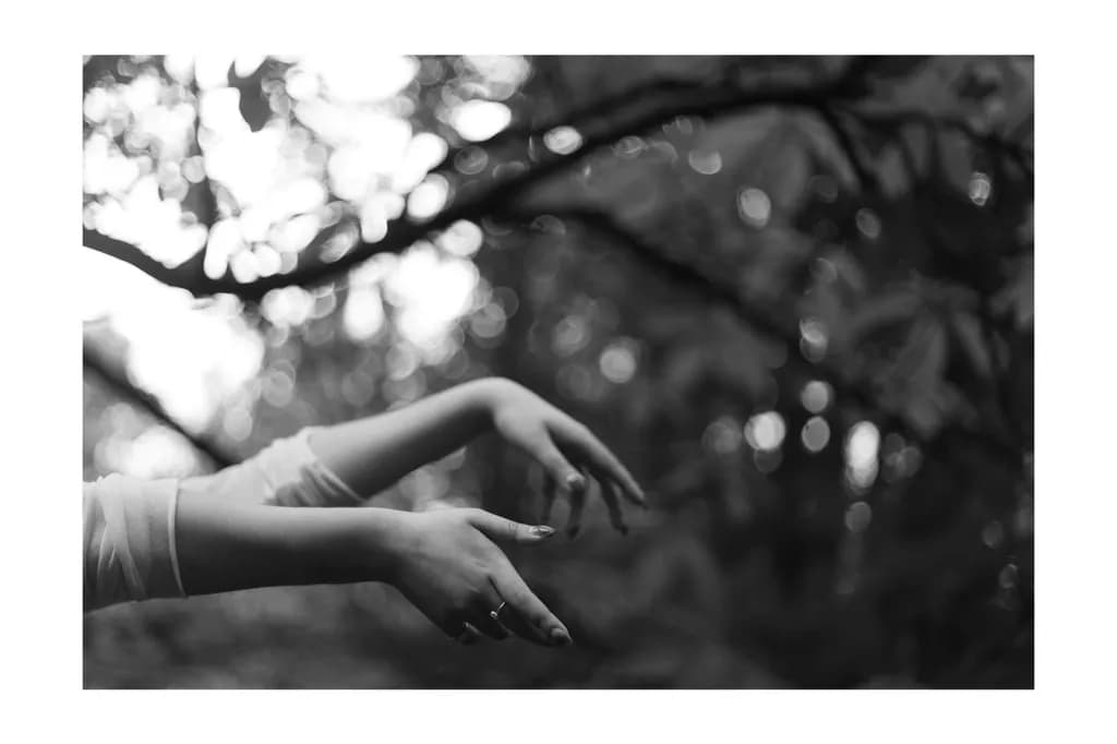 Forest Fingers