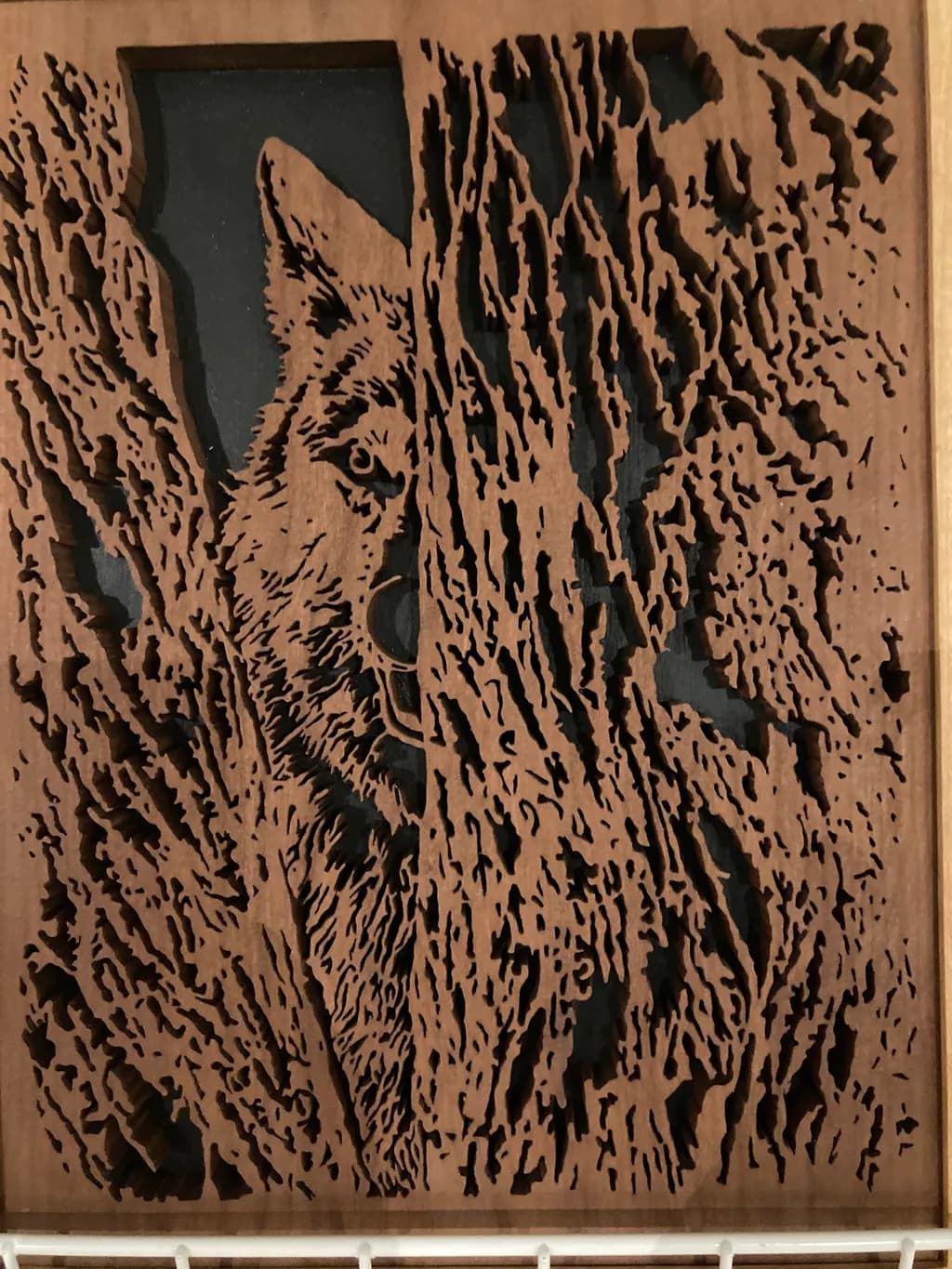 Wolf Behind Tree