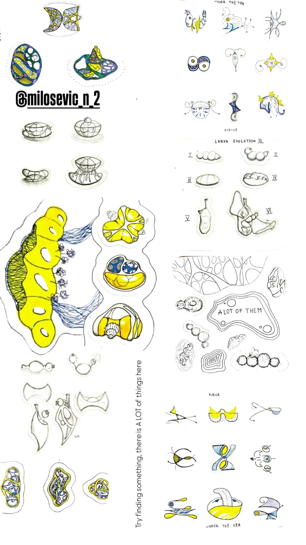 Abstract Evolution Study