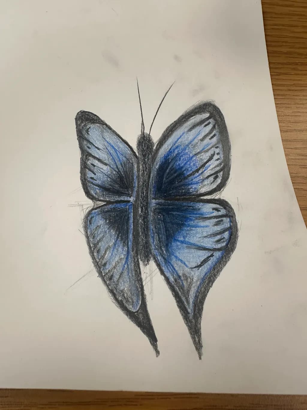 Blue Charcoal Butterfly