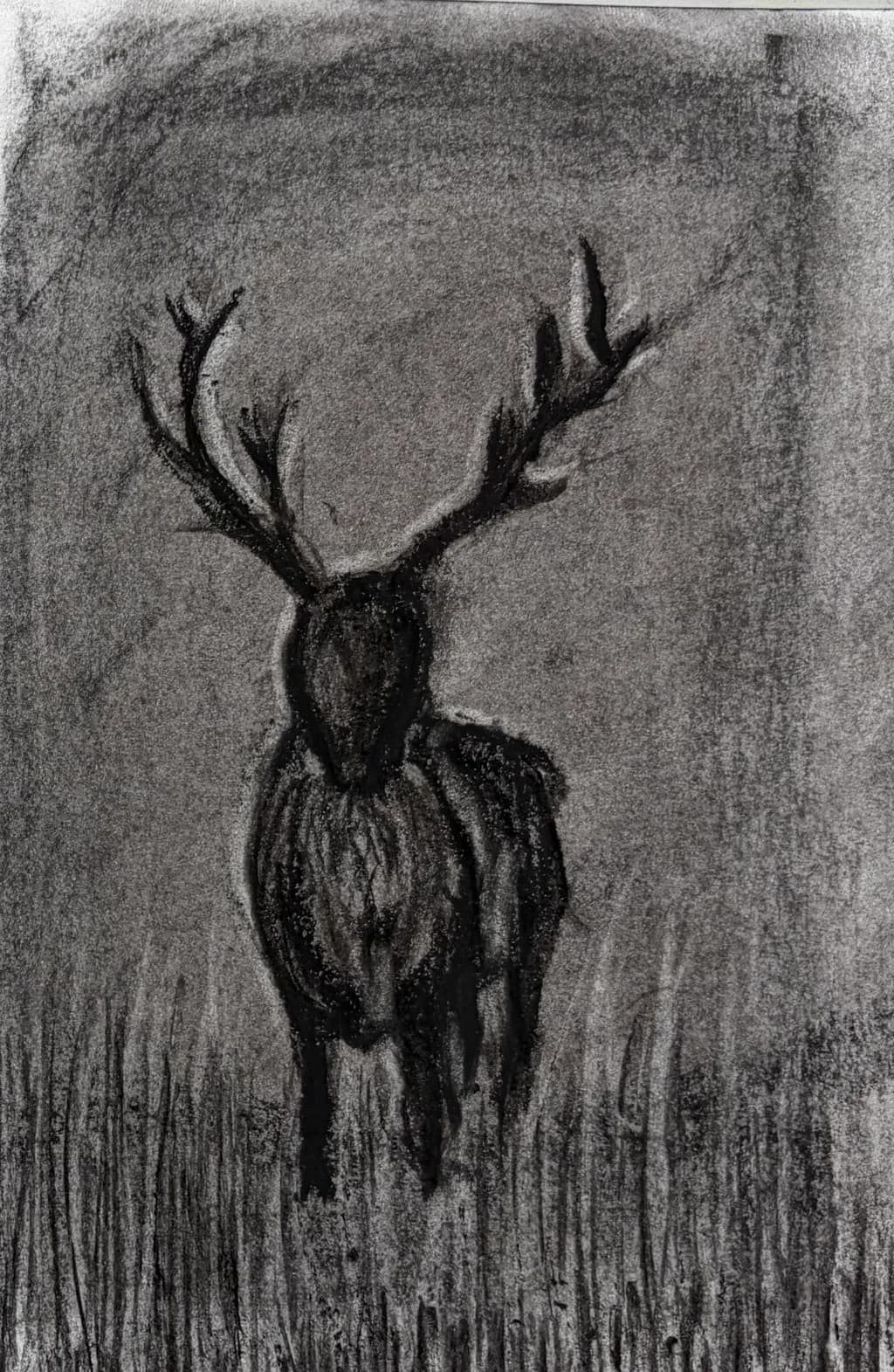 Charcoal Stag in the Grass