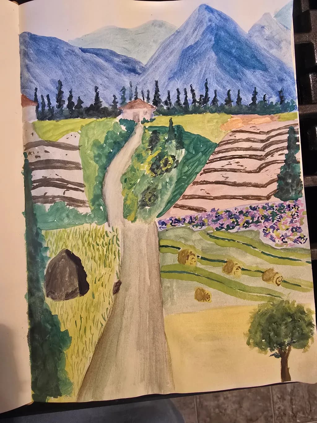 Mountain Path Landscape