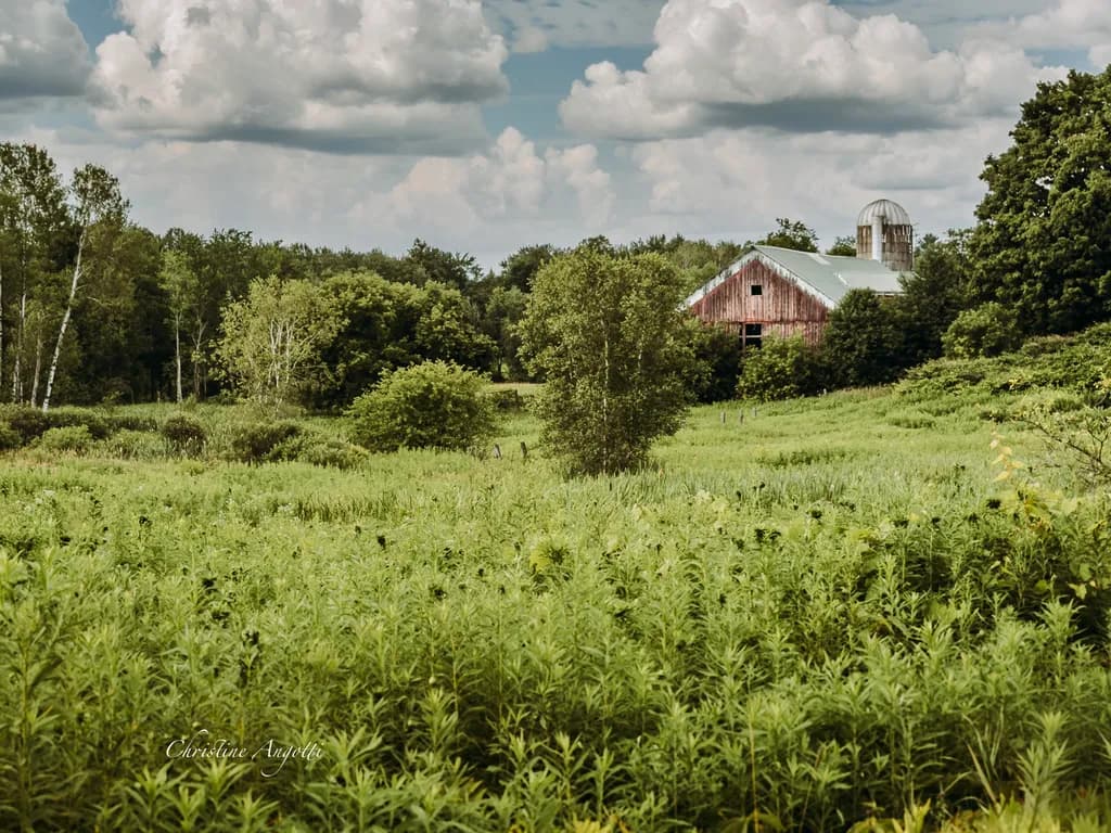 Barn in Green Field