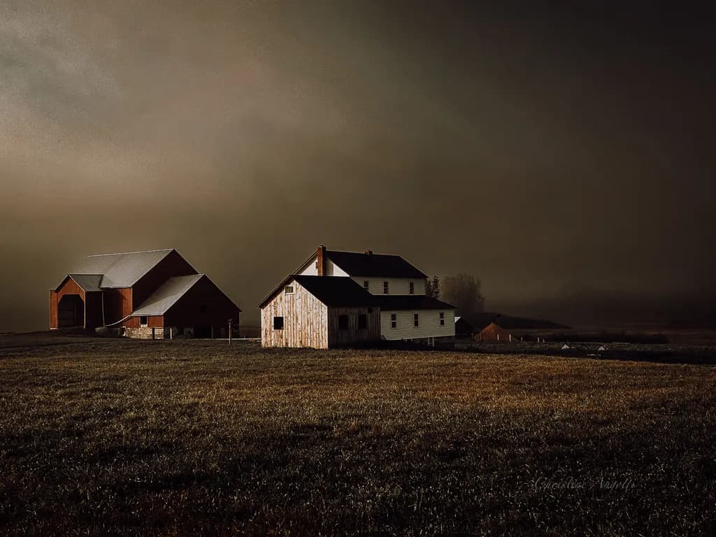 Foggy Farmstead
