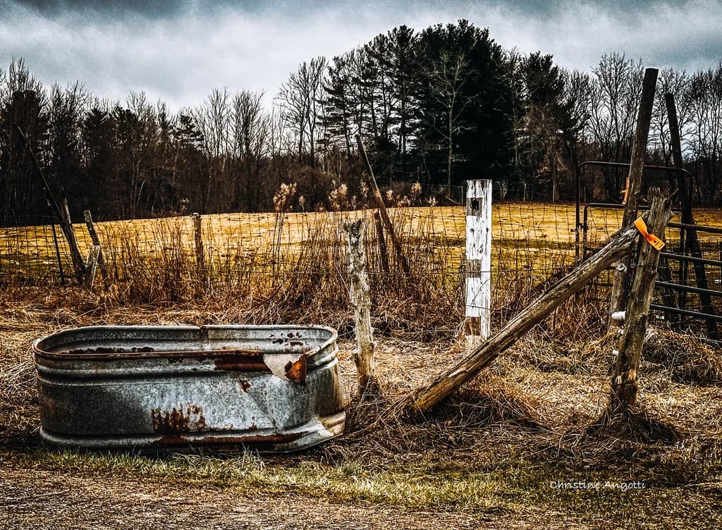 Rusty Farm Fence