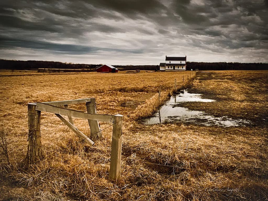 Farmhouse and Field