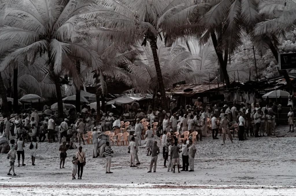 Palm Beach Gathering