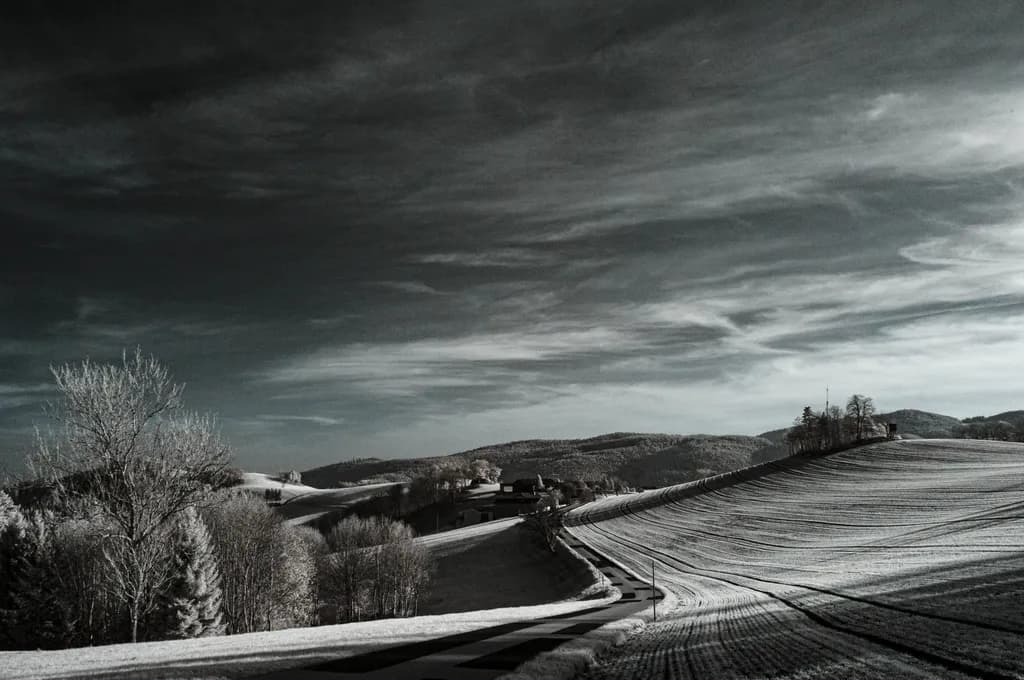 Winter Fields Horizon