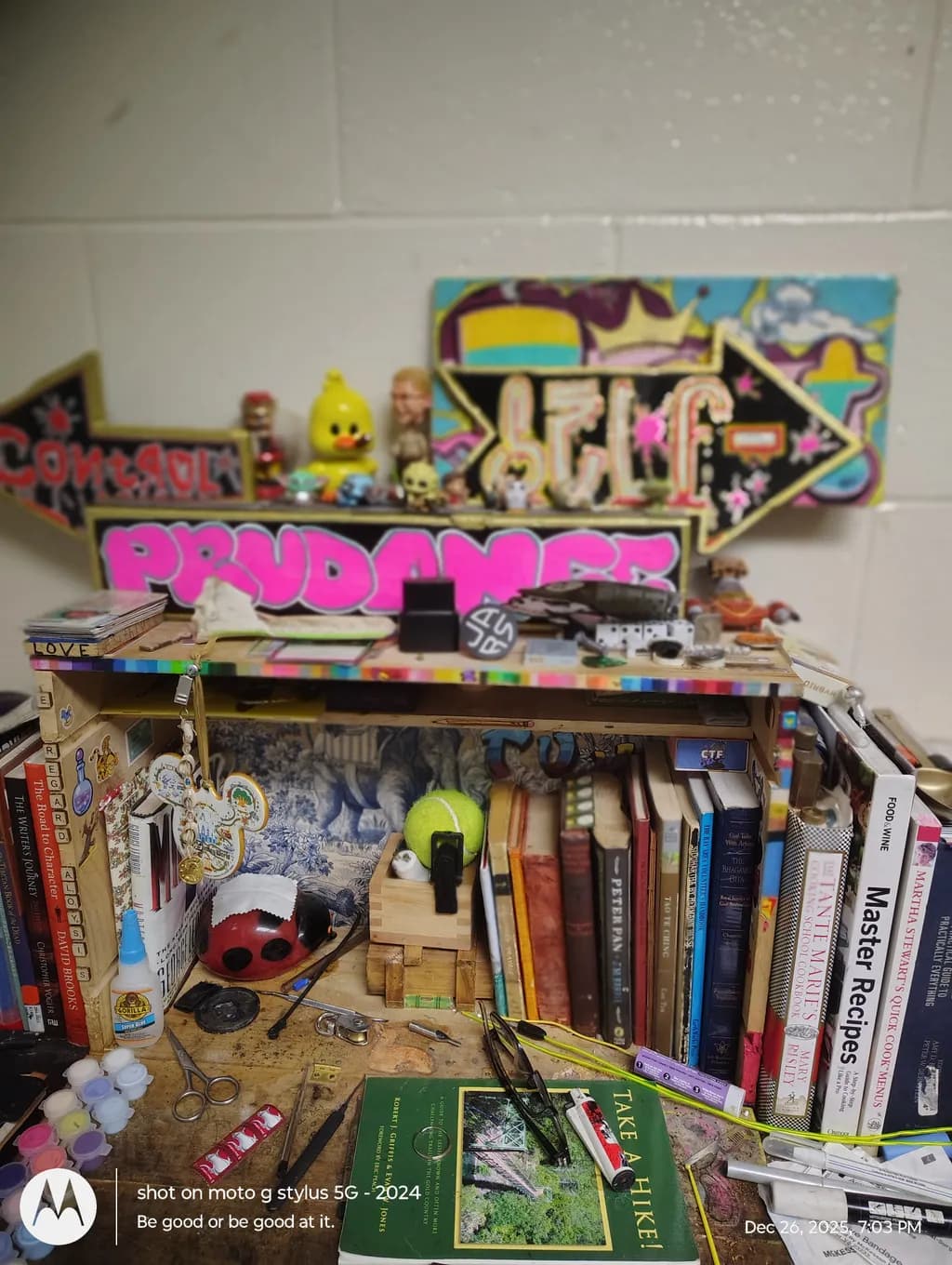 Bookshelf Chaos