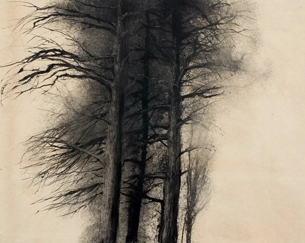 Untitled Trees Study