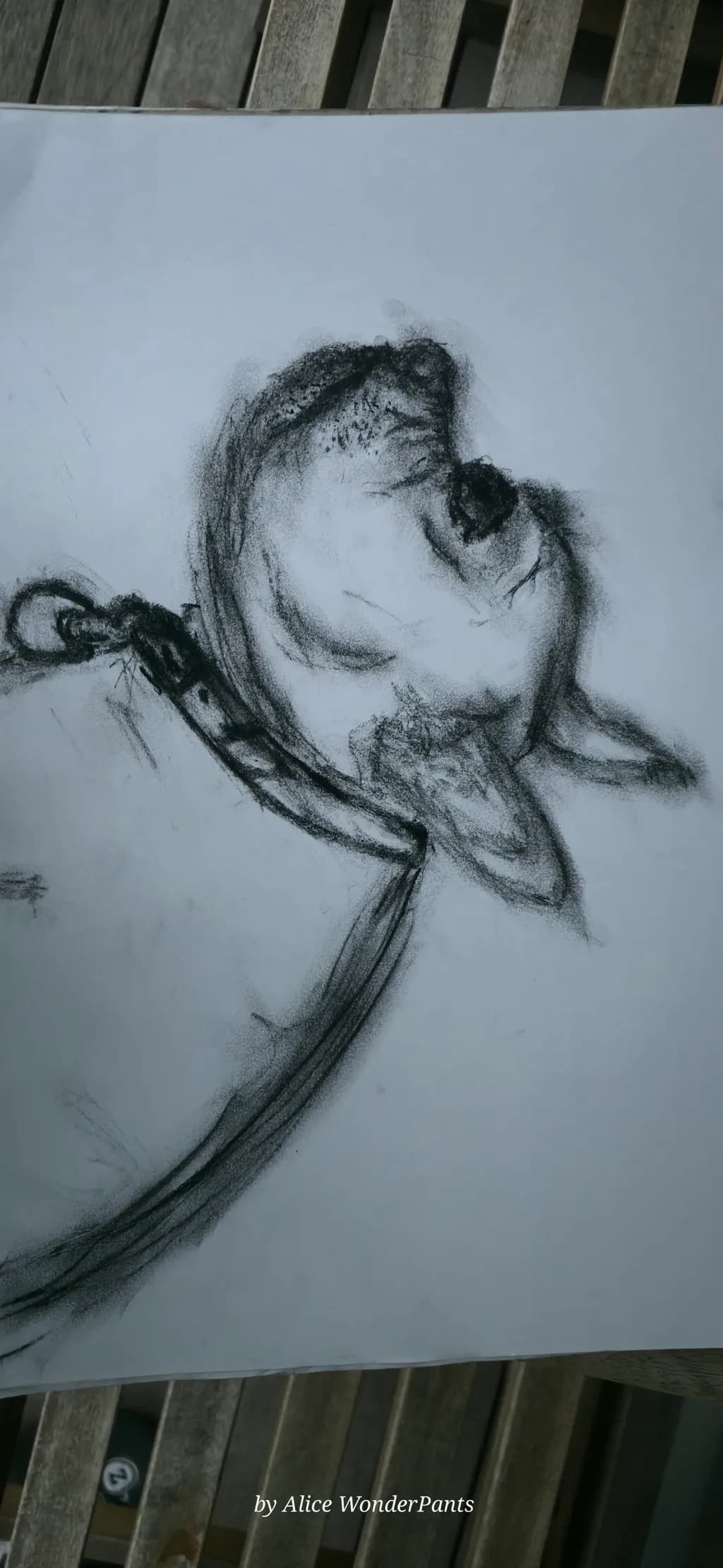 Sleepy Dog Portrait