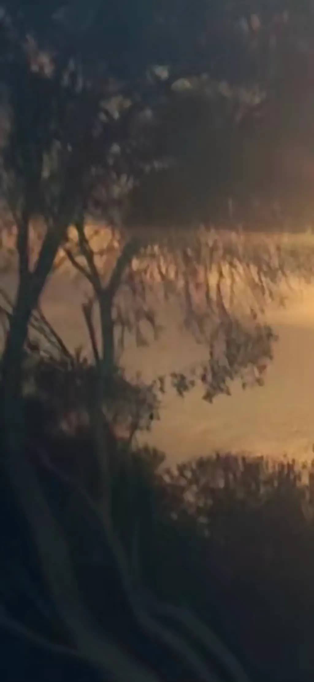 Golden Lake Glow