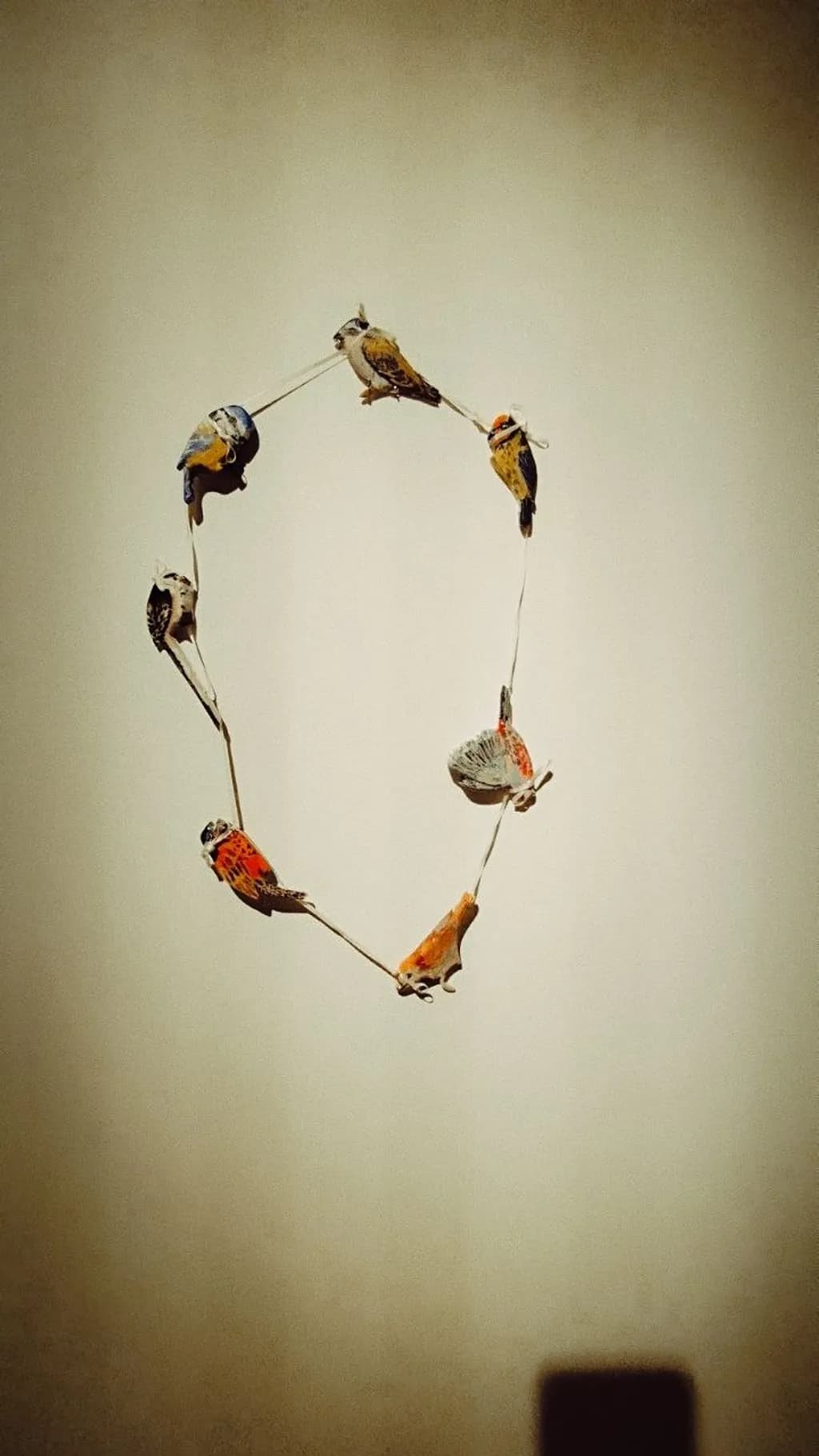 Circle of Birds