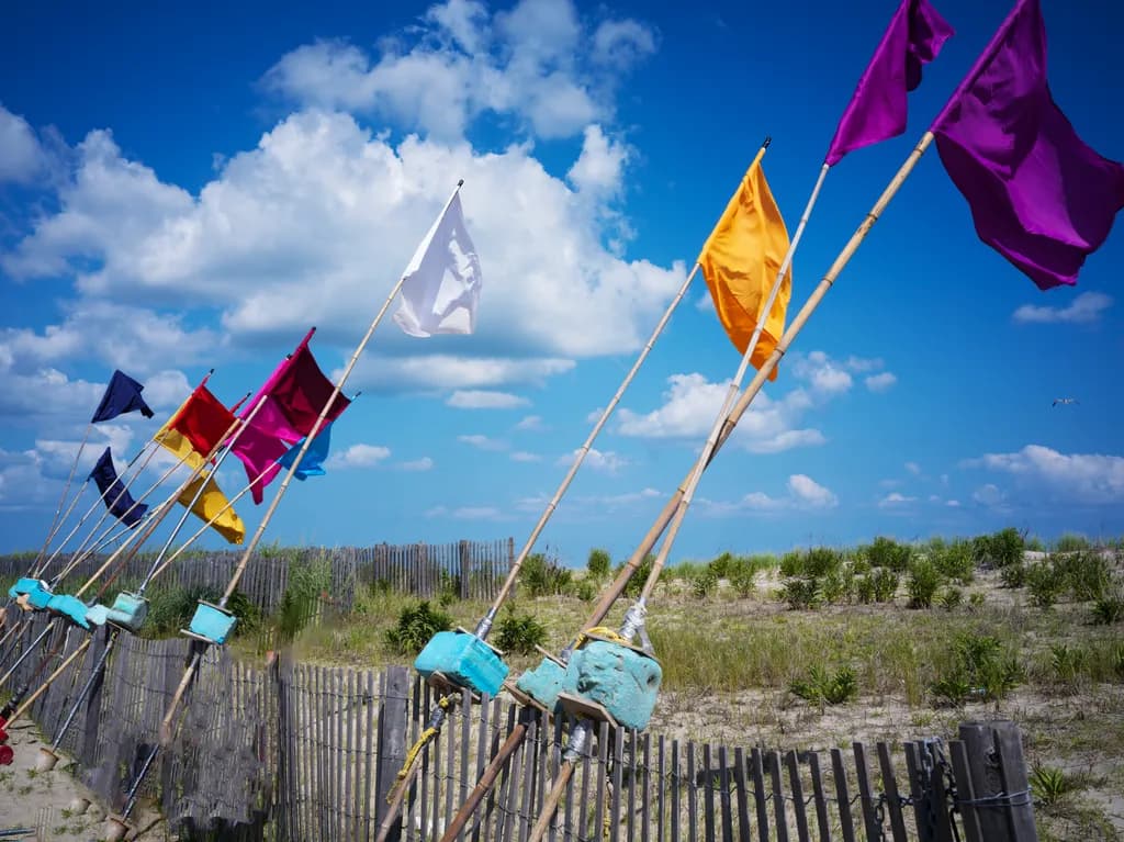 Beach Flags Display
