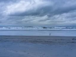 Gull Beneath the Clouded Sky