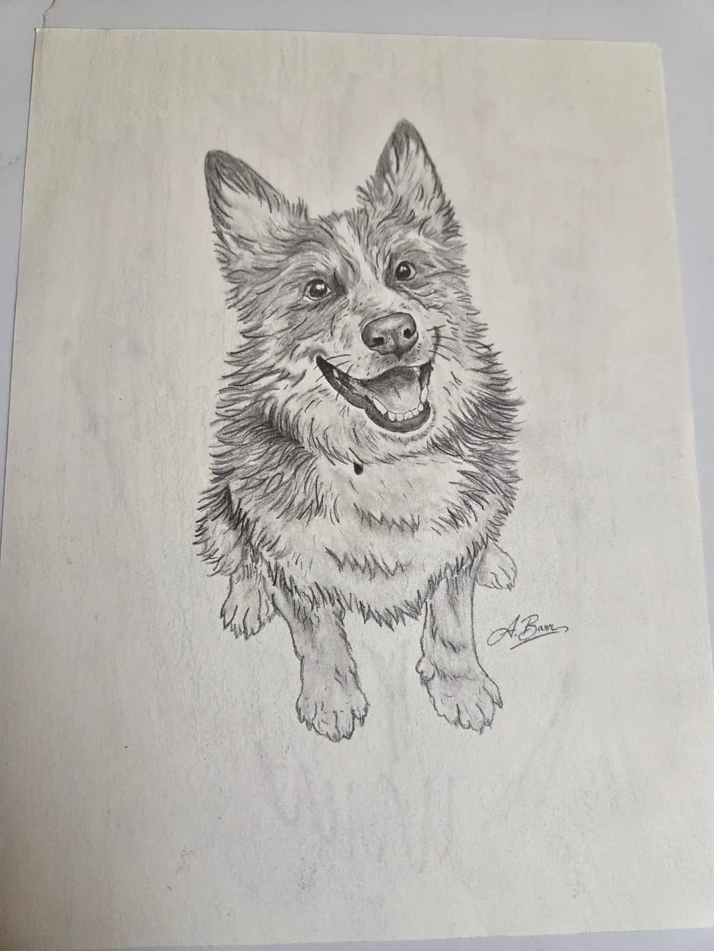 Happy Dog Portrait