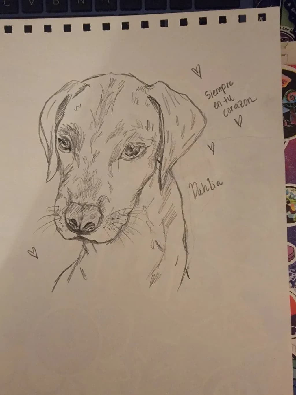 Dog Portrait Sketch