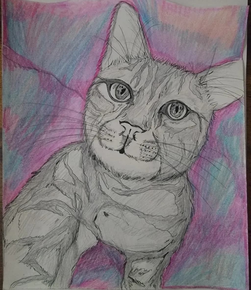 Cat Portrait