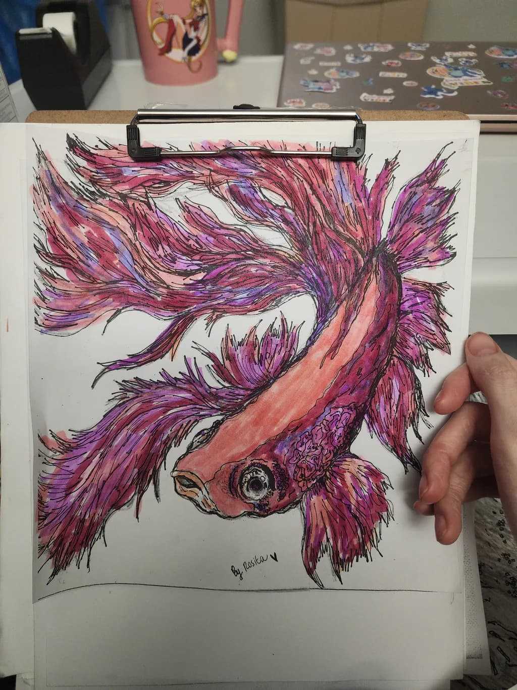 Vibrant Betta Fish