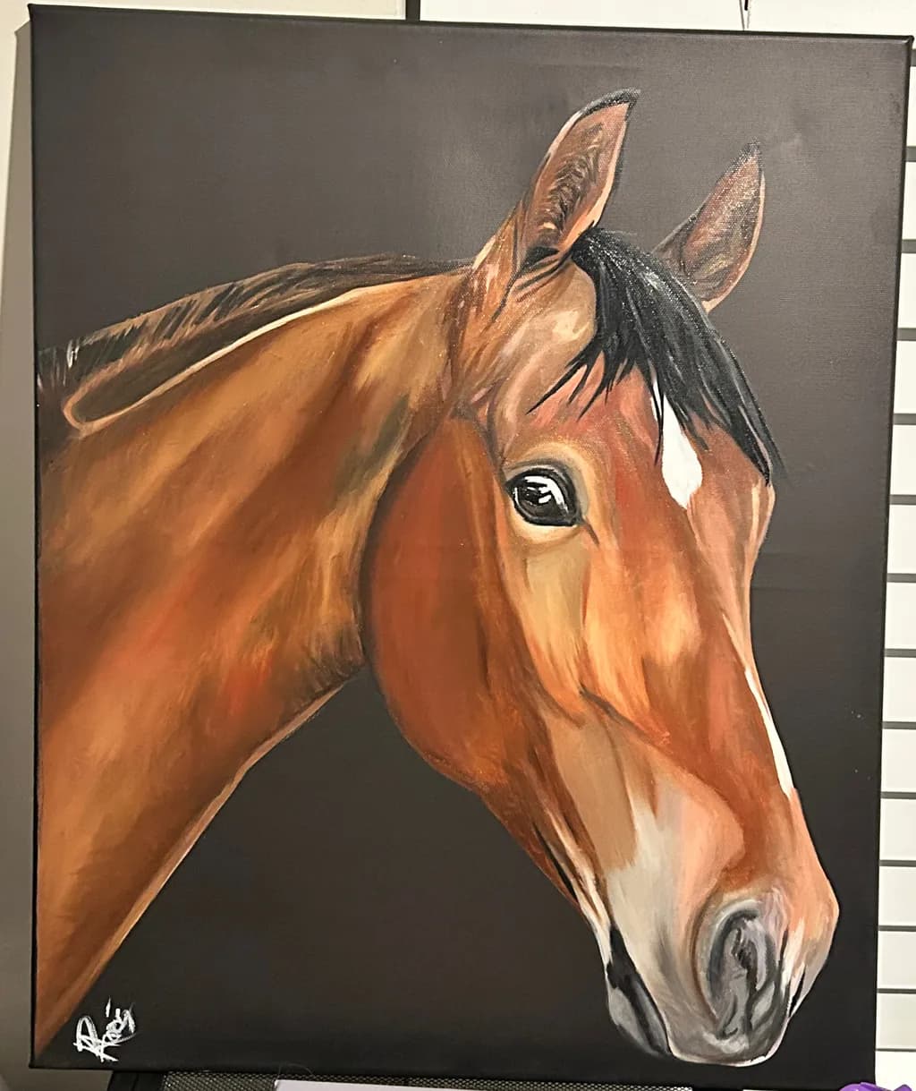 Horse Portrait
