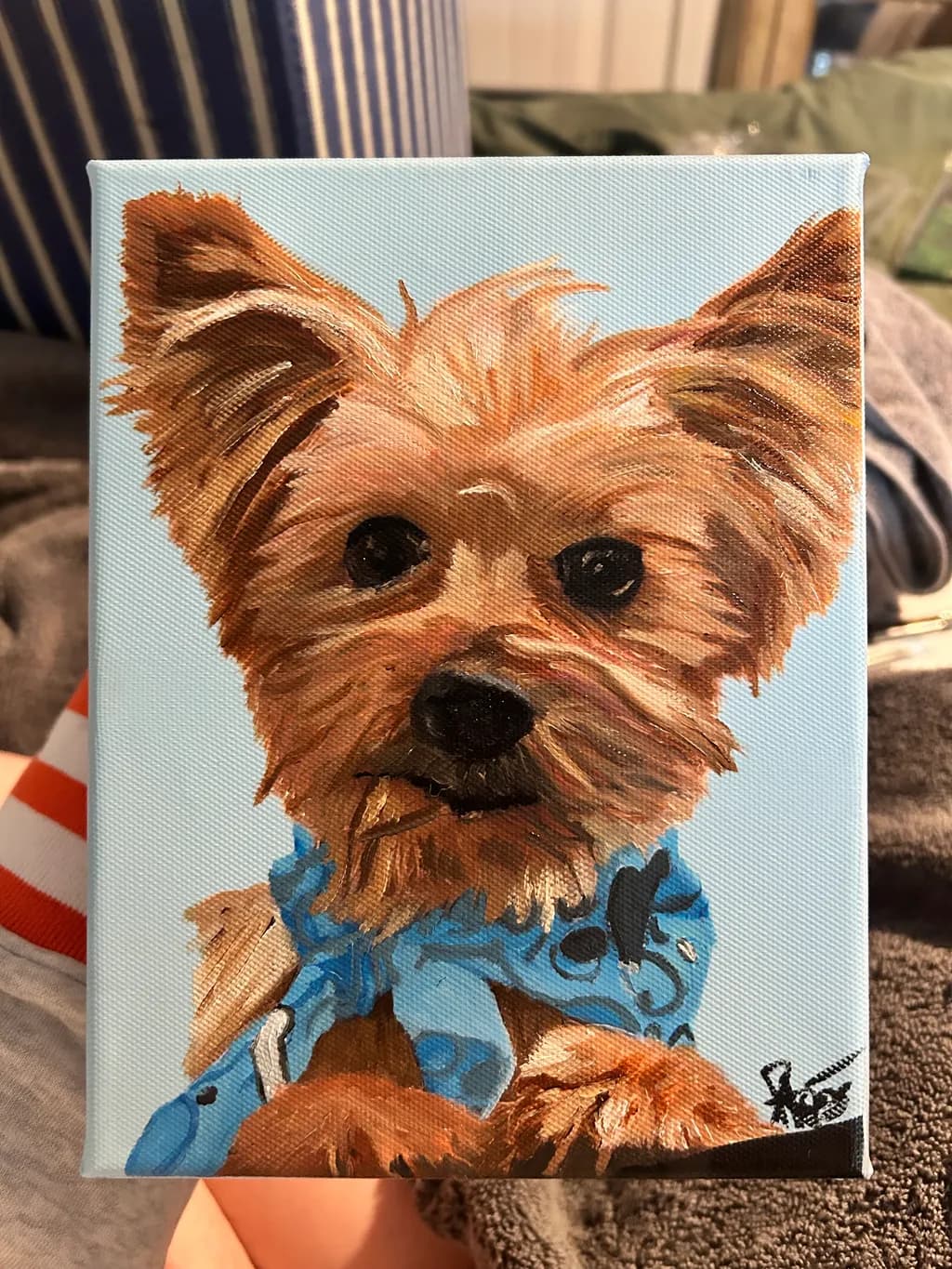 Yorkshire Terrier Portrait