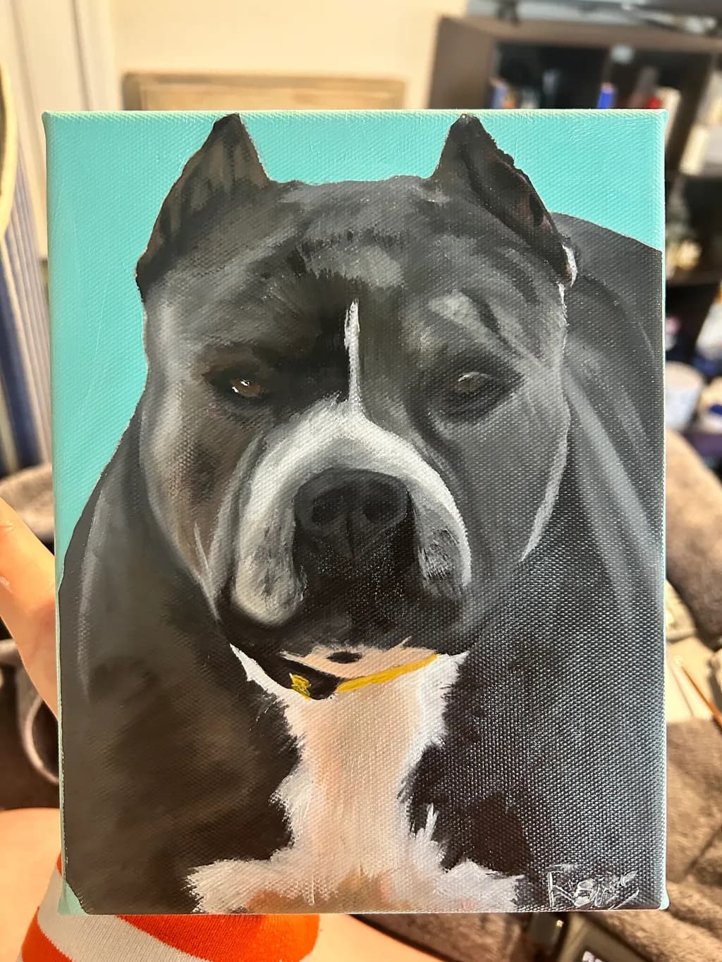 Black and White Dog Portrait