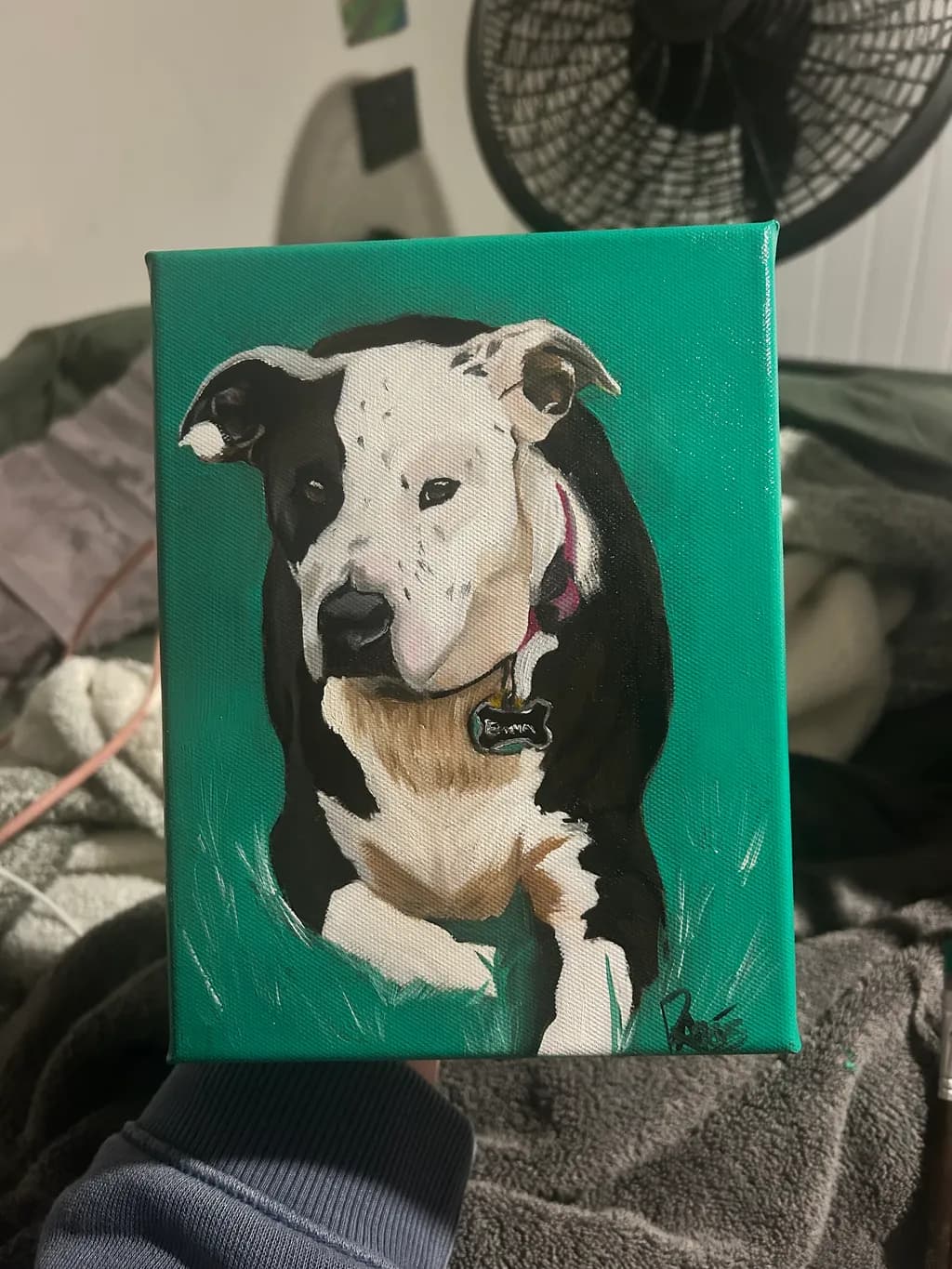 Black and White Dog Portrait