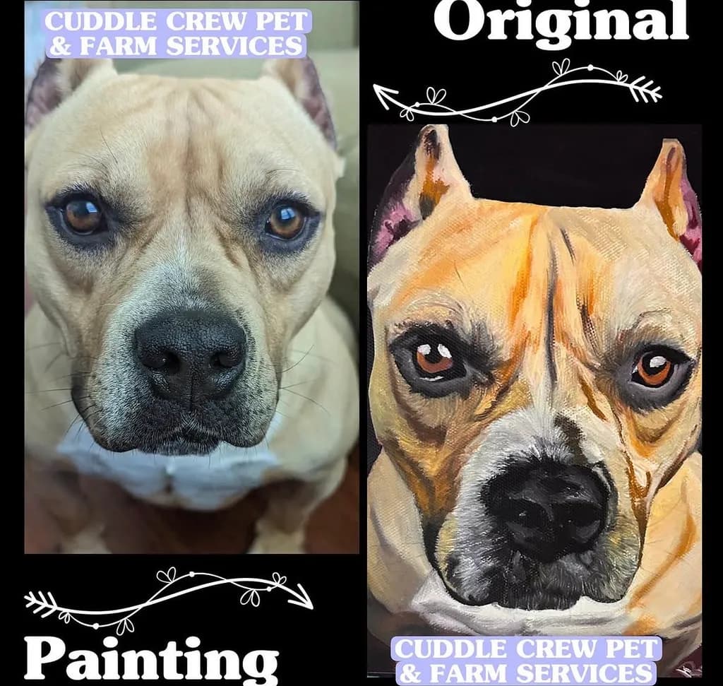 Dog Portrait Comparison