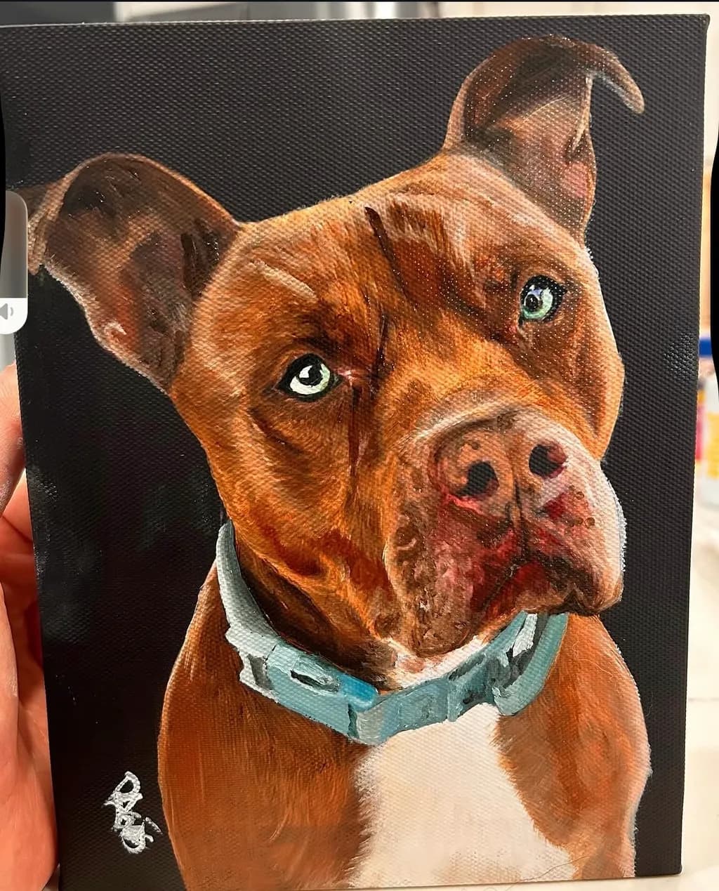 Dog Portrait with Collar