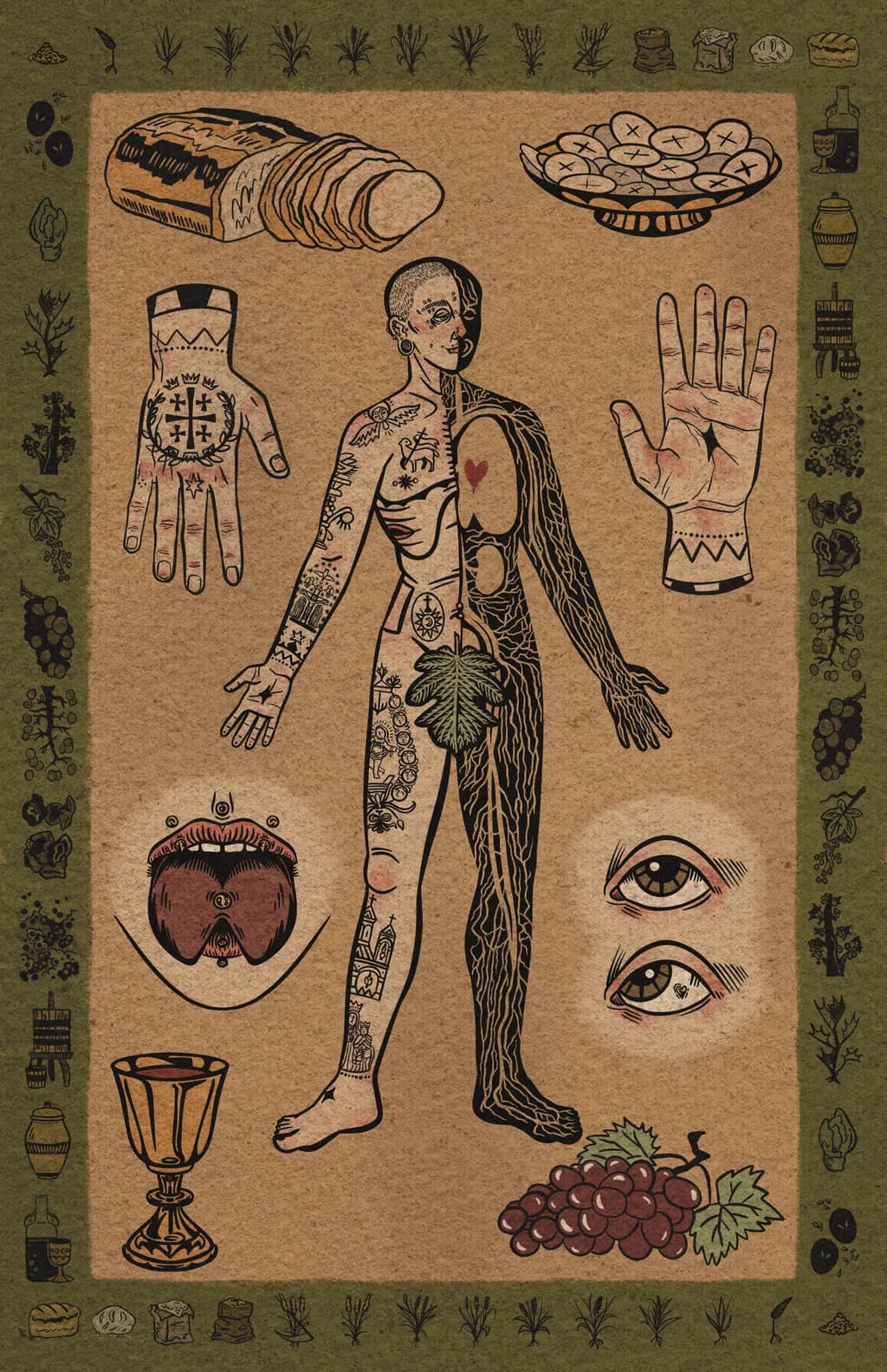Corpus Christi Anatomy