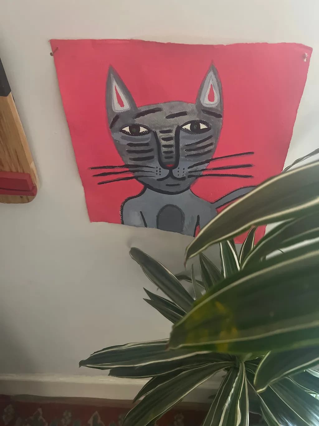 Gray Cat on Red