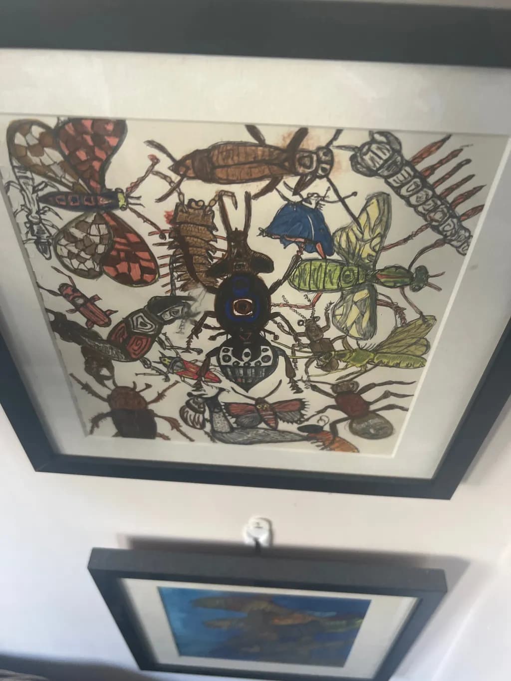Insect Collage