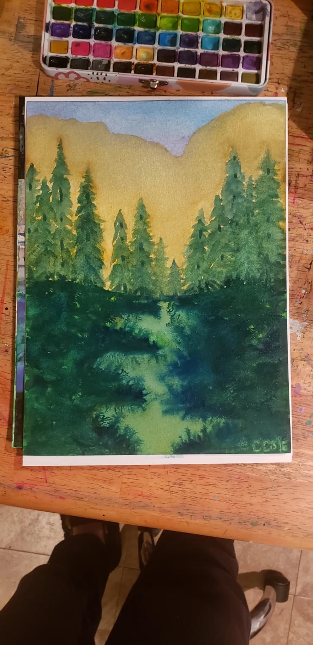 Forest Stream Path