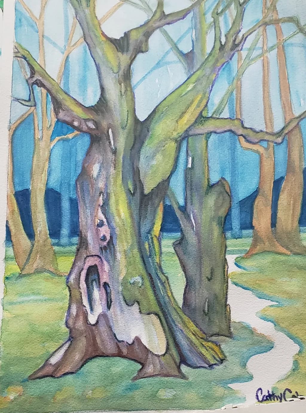 Ancient Tree Path