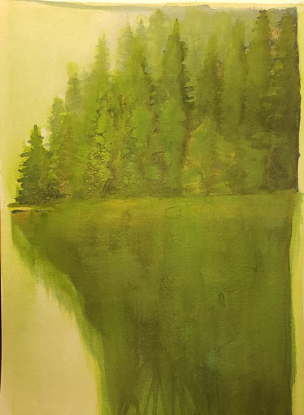 Mist Forest Reflection