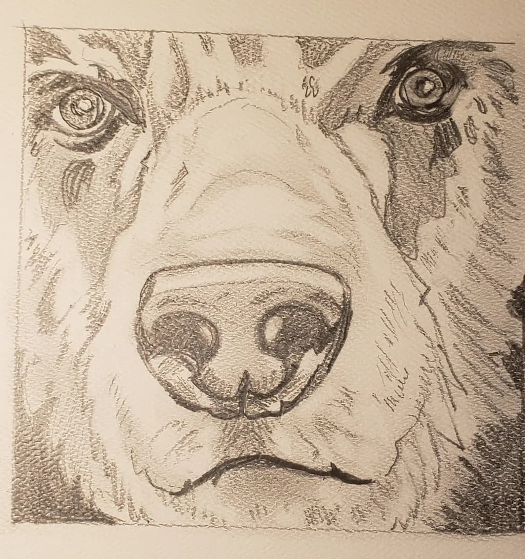 Close-Up Dog Portrait
