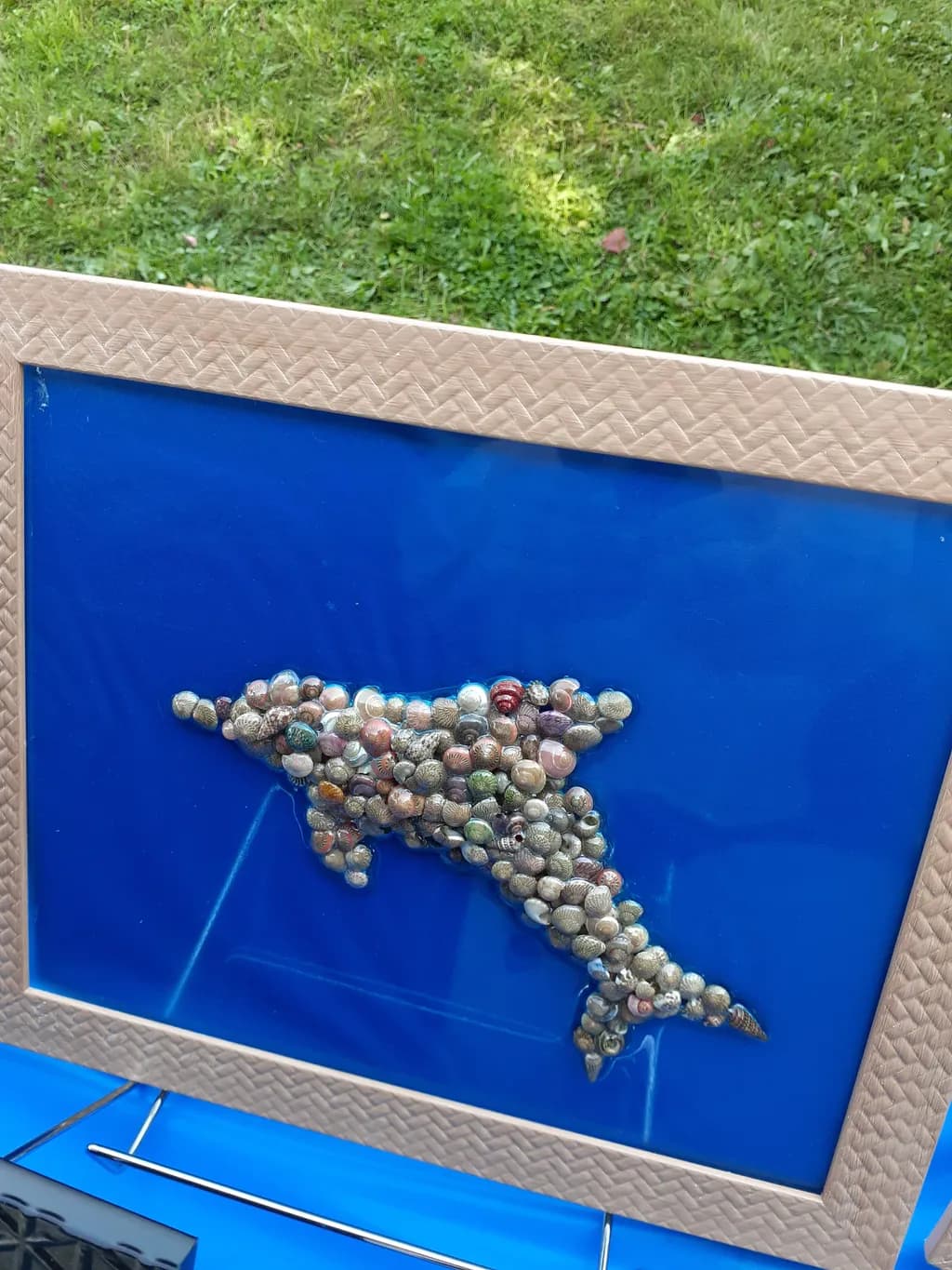 Seashell Dolphin