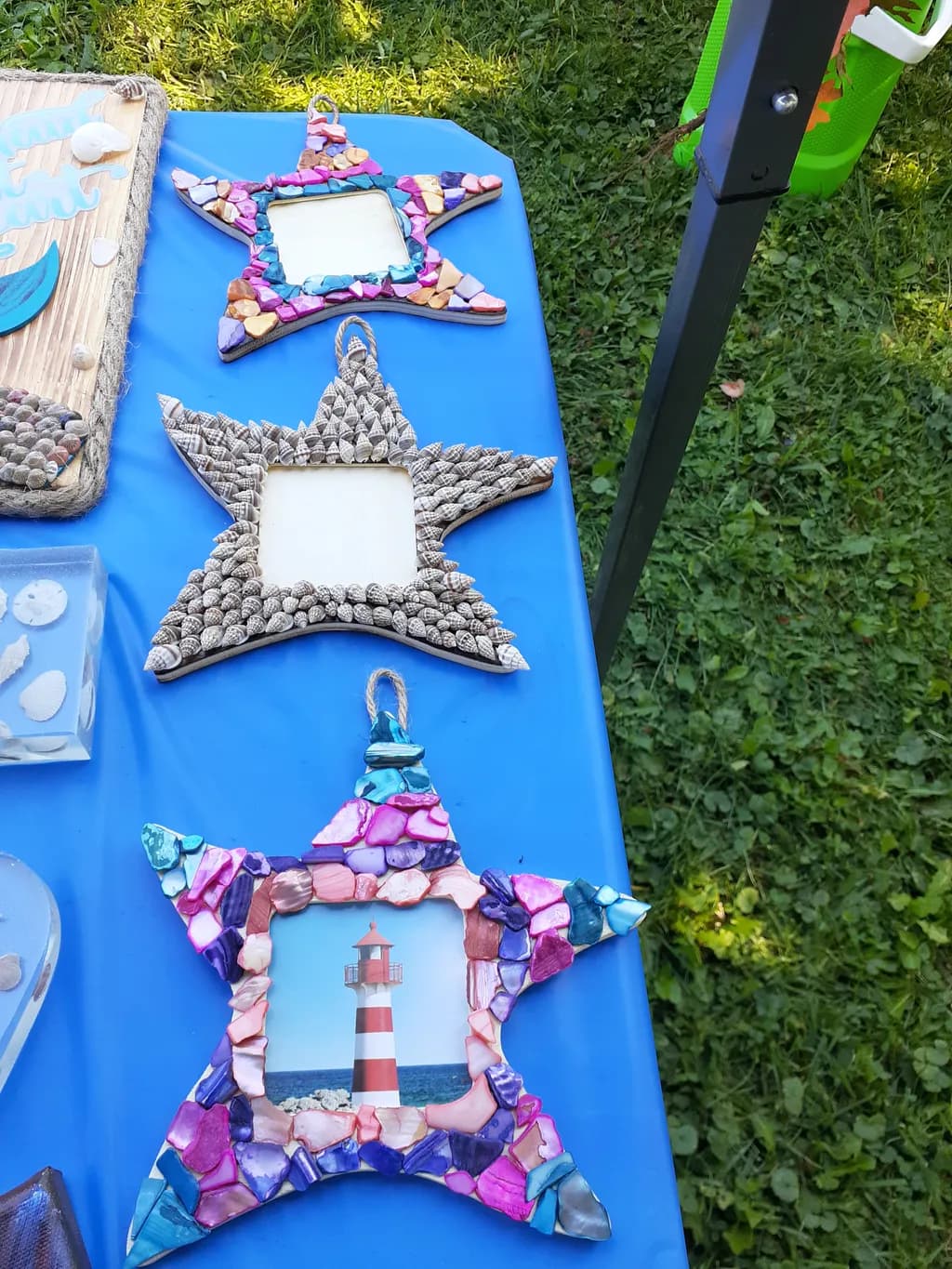 Starfish Shell Frame
