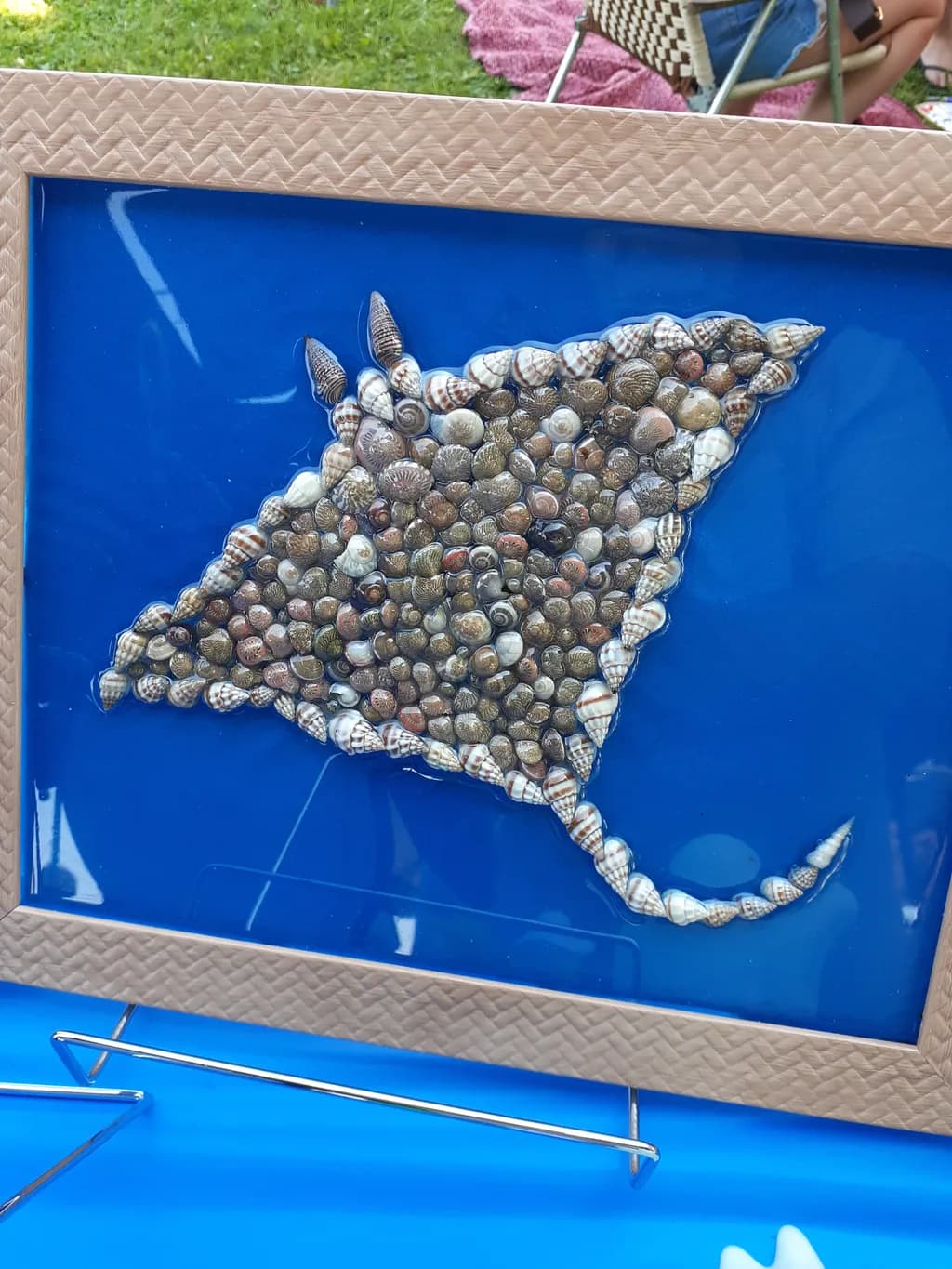 Seashell Stingray