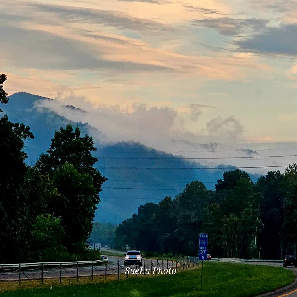 Mountain Mist Drive