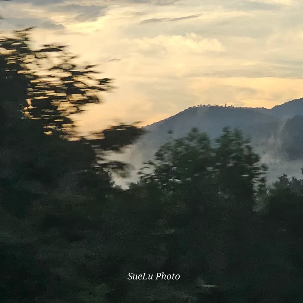 Forest and Mountain Dusk