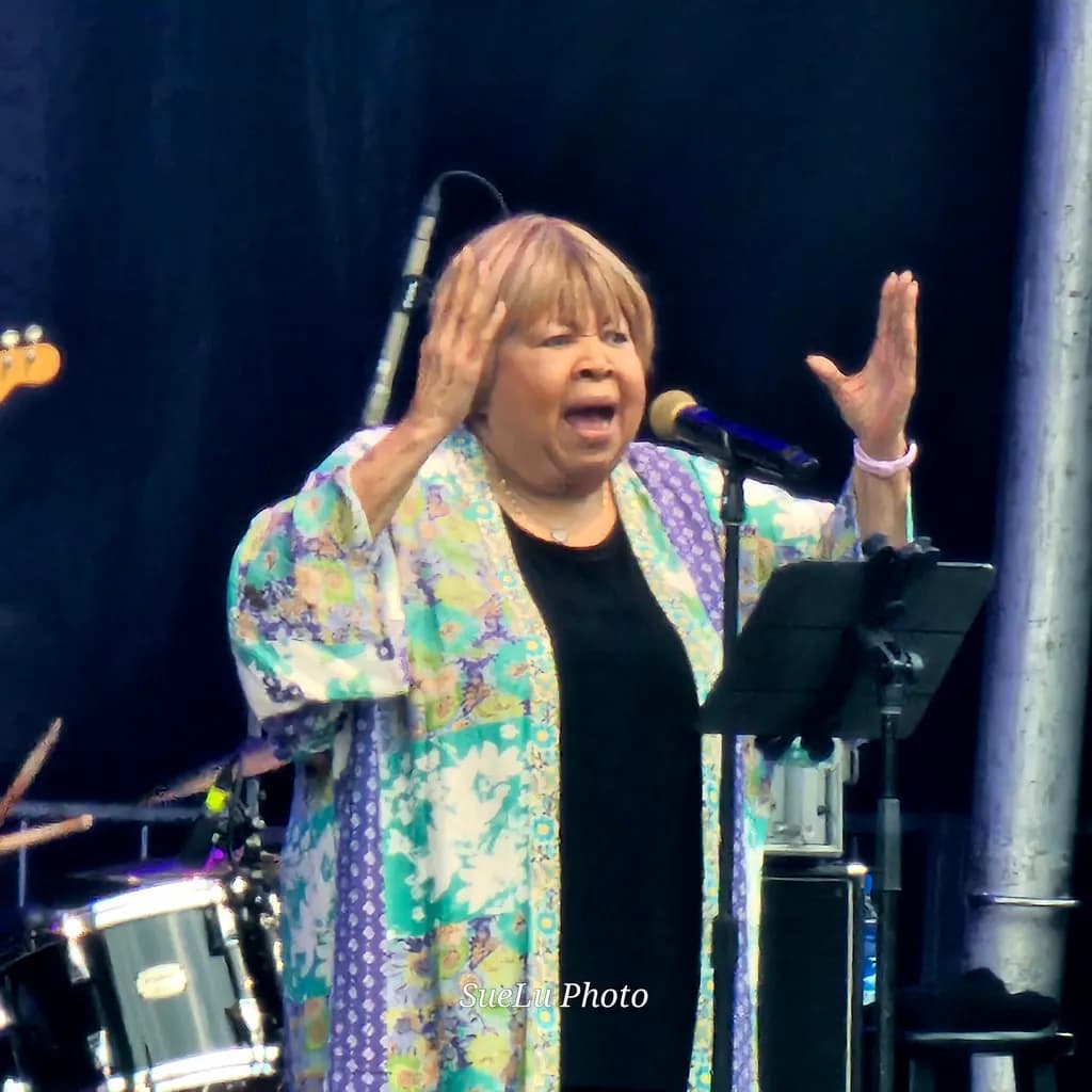 Singer on Stage