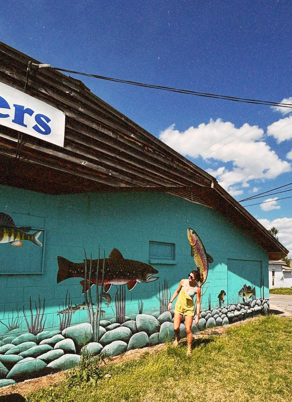 Fish Mural Wall